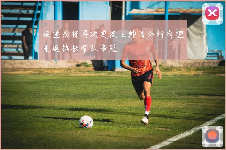 狼堡或将再次更换主帅马加特有望重返执教带队争冠