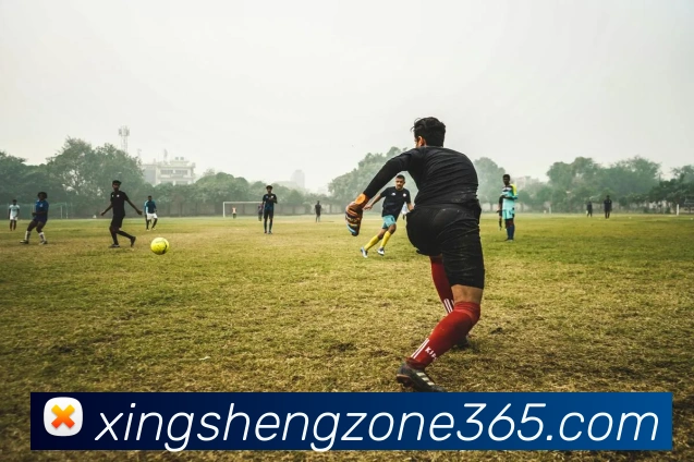 杏盛娱乐全站App