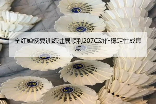 全红婵恢复训练进展顺利207C动作稳定性成焦点 | XingSheng
